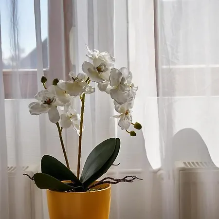 Warm & Friendly Ii. Апартаменты