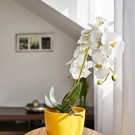 Warm & Friendly Ii. Apartment Budapest